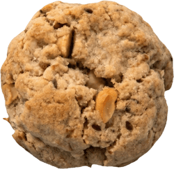echt jetzt BIO Macadamia White Choc BIO Cookie