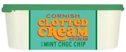 Marks & Spencer Minz-Eiscreme aus Cornwall mit Schokoladenstückchen mit Minzgeschmack