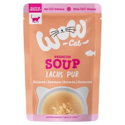 WOW CAT Suppe mit Lachs