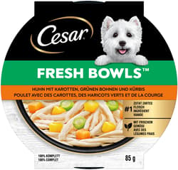 CESAR FRESH BOWLS™ Bowl Chicken & Carrots in Sauce 85 g
