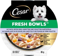CESAR Fresh Bowls™ Bowl Duck in Sauce 85g