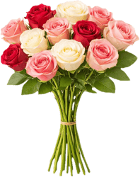 Gemischte Rosen, kalte Farben 40 cm x 12 Stiele