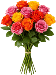 Gemischte Rosen, warme Farben 40 cm x 12 Stiele