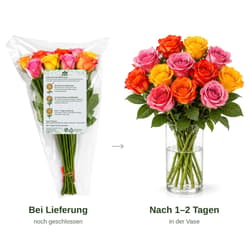 MIMEA Gemischte Rosen, warme Farben