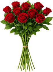 Rote Rosen 40 cm x 10 Stiele