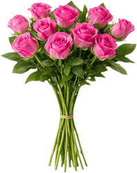 Pinke Rosen 'Belle Rose' 40 cm x 10 Stiele