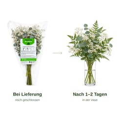 MIMEA Gemischter Füll-Blumenstrauß