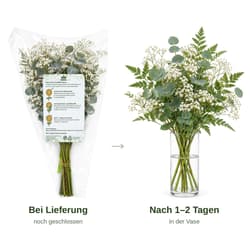 MIMEA Gemischter Füll-Blumenstrauß