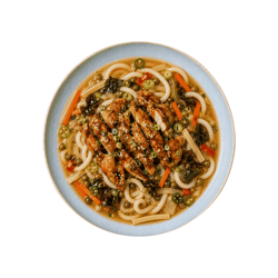 Freshfoodz Miso Brühe mit Hähnchen und Udonnudeln