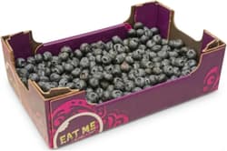 Heidelbeeren XL Schale