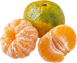 Satsuma 1Stk.