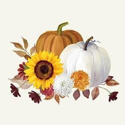 Napkin 33x33cm ‘Pumpkin blanc de blanc’
