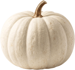 Weißer Halloween Kürbis