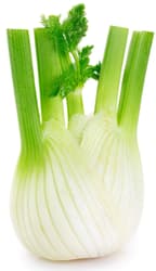 Bio Fenchel, 1 Stk.