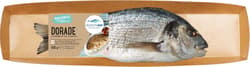 Dorade Royal