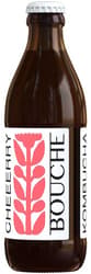 Bouche BIO Kombucha Cherry (MERHWEG)