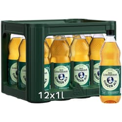 Bad Liebenwerda Ginger Ale 12x1l (MEHRWEG)