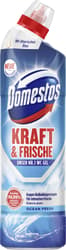 Domestos Power & Fresh WC Gel Ocean Fresh Biocidal product
