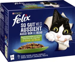 Felix So GUT wie es AUSSIEHT Geschmacksvielfalt in Gelee mit Gemüse