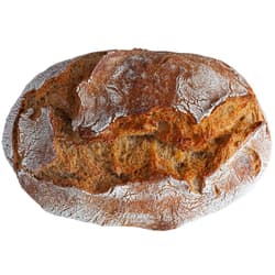 Gragger BIO Dinkel-Laib