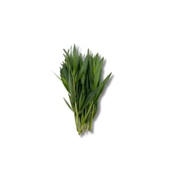 Tarragon