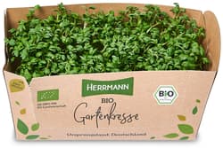 BIO Gartenkresse, Schale
