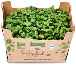 Organic radish cress