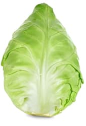 Spitzkohl, 1 Stk.