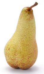 BIO Birne Abate, 1 Stk