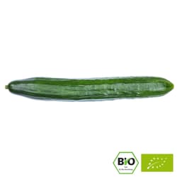 Zielkes BIO Salatgurke, 1 Stk.