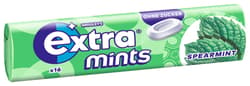 EXTRA® Mints Spearmint 