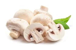 ORGANIC White Mushrooms, Shell