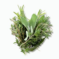 Herbs of Provence