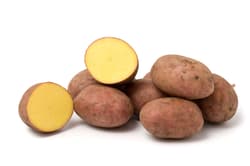 Watzkendorf's ORGANIC Potatoes Laura, weighed