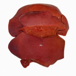 Landfleischerei Schmelzer Schweineleber