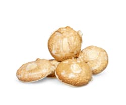 Konditorei Tillmann BIO Elisenlebkuchen glasiert klein