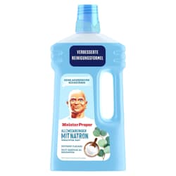 Meister Proper Allzweck-Bodenreiniger Natron - Eukalyptus-Duft