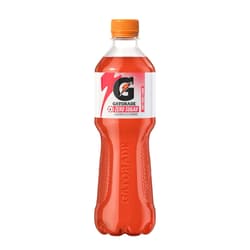 Gatorade Fruit Punch Flavor (EINWEG)