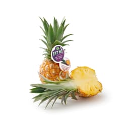 Baby Pineapple, 1 pc.