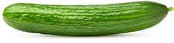 BIO Cucumber