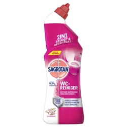 Sagrotan WC Cleaner Blossom Freshness