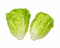 Salate -  frisch