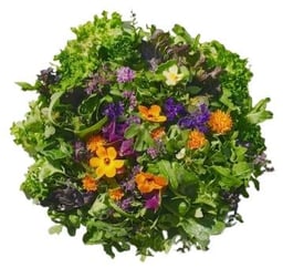 Salate - verzehrfertig