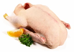 Poultry
