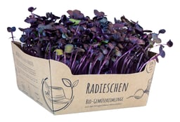 Frisches Superfood
