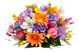 Blumen