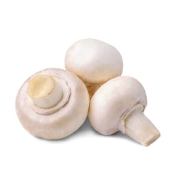 Frische Pilze