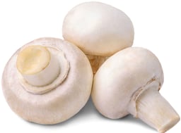 Pilze