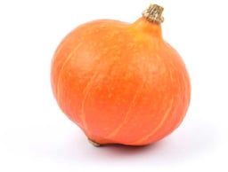 Pumpkin
