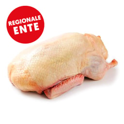 Fleisch & Geflügel